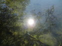 Slunce se odráží v hladině písníku, tedy jižního Moravičanského jezera.