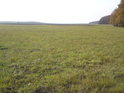 Pohled do polí od jižní hranice Žernova.