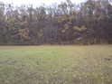 Podzimní louka na sever od lesa vypadá jinak, než ta jižní.