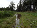 Je po dešti a v koleji cesty na hráz rybníka Zlámanec zůstává voda.
