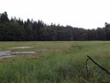 Horní, tedy jižní část rybníka Zlámanec v době vypuštění.
